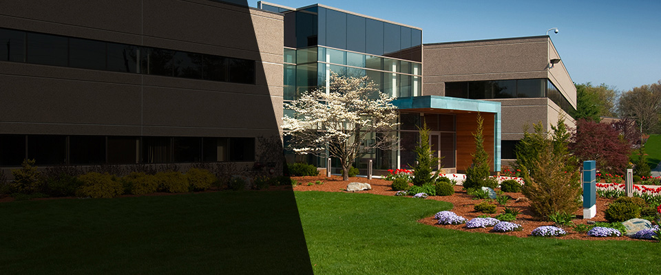 New Bloomfield Landscapers