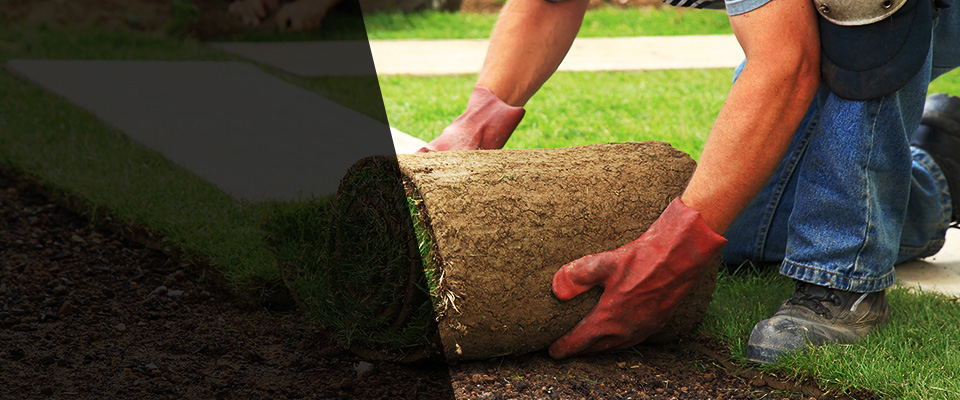 New Bloomfield Landscapers